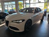 Alfa Romeo Giulia Veloce Q4 Pano.Prem.Paket Tech.Paket - Alfa Romeo Giulia Tageszulassungen