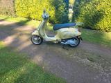 Vespa Primavera 125 75 Jahre Gold - ROLLER GO