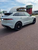 Jaguar F-Pace D300 R-DYNAMIC BLACK Pack - Jaguar F-Pace in Bochum