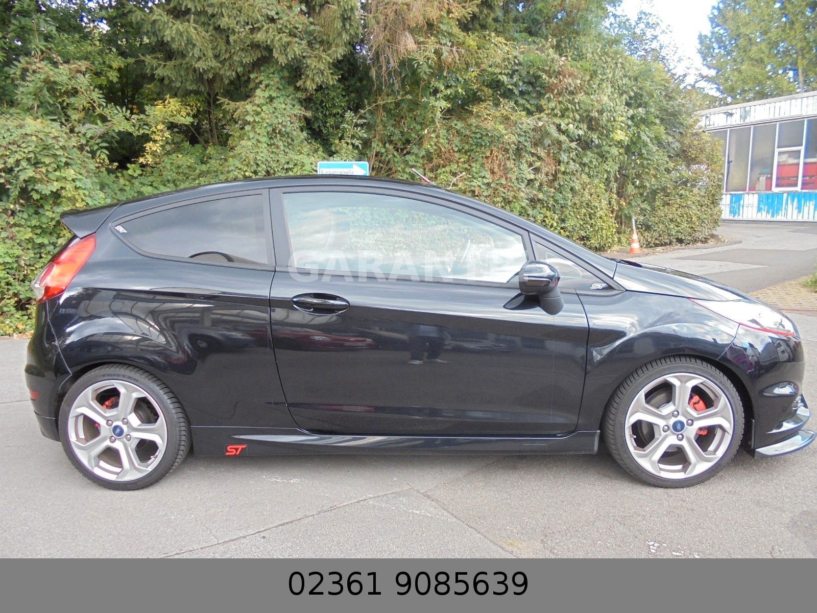 Fahrzeugabbildung Ford Fiesta ST Mega Optik