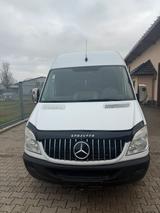 Mercedes-Benz Mercedes Sprinter Maxi 313CDI 2.Hand HU 02/27 - Mercedes-Benz Sprinter: 313 Cdi Maxi