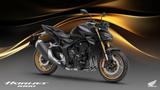 Honda CB 1000 Hornet SP 2025 - Offers matching your search criteria