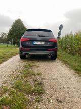 Audi SQ5 3.0 TDI tiptronic quattro - - Audi SQ5 Gebrauchtwagen in München