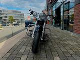 Harley-Davidson FLSTN Softail Deluxe Chicano mit vielen Extras - Motorräder in Bielefeld