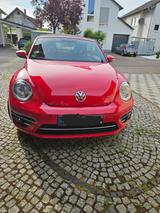 Volkswagen Beetle 1.2 TSI BMT Design Cabriolet Design - VW Beetle von privat