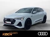 Audi e-tron 55 quattro S-Line 2x, Matrix, Pano, RFK, - weiße Audi e-tron