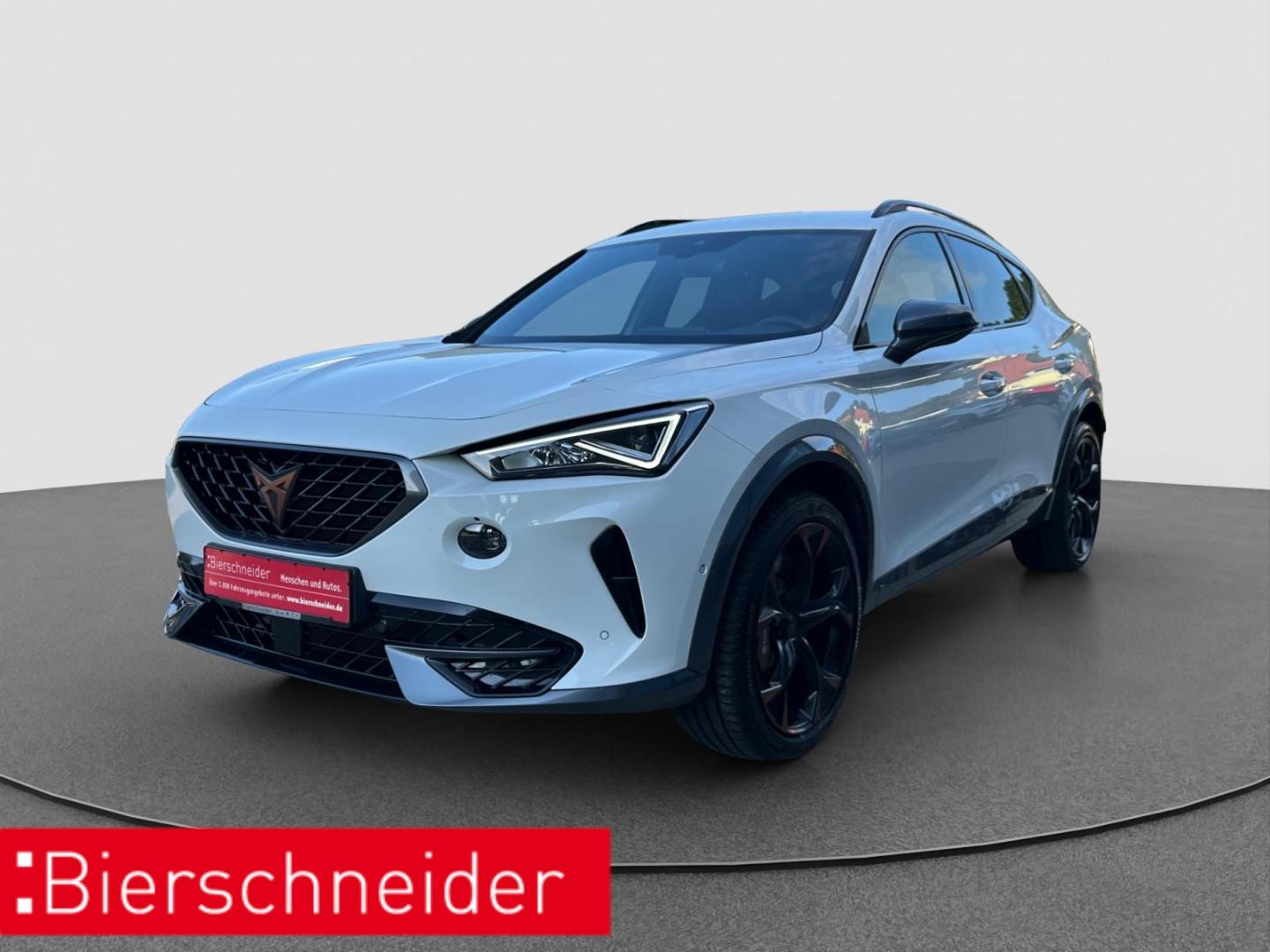 Cupra Formentor 2.0 TSI DSG 4Drive VZ DCC BEATS MEMORY