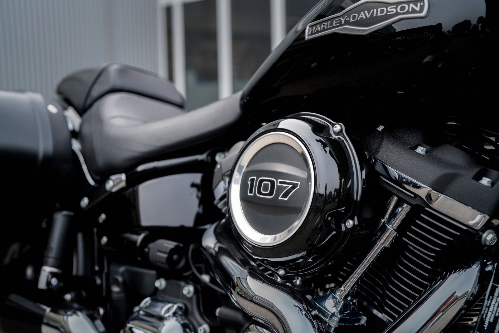 Fahrzeugabbildung Harley-Davidson FLSB Sport Glide Softail