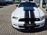 Ford Mustang3.7Ltr*SHELBY.LPG*Prem.pak.20zoll,Kamera - Ford: Weiß, Ka