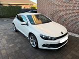 Volkswagen Scirocco 1.4 TSI - - Volkswagen Scirocco in Gelsenkirchen