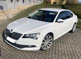 Skoda Superb 2.0 TDI 98 TKM TÜV 11/26 - Skoda Superb: 1.9
