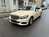 Mercedes-Benz E 220 BlueTEC 4MATIC Autom. - - Mercedes-Benz E 220: Taxi