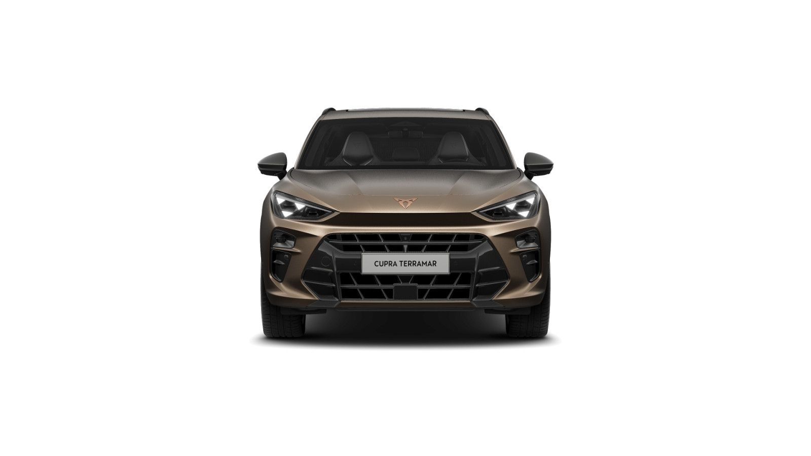 Cupra Terramar - Bild 2