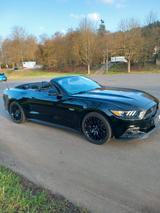 Ford Mustang 5.0 Ti-VCT V8 GT GT - Ford mit Benzin-Antrieb: Cabrio, Schaltgetriebe
