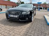 Audi S5 Cabrio - Audi S5 aus 2009