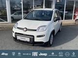 Fiat Panda 1.0 Mild Hybrid Klima/PDC/DAB/Bluetooth - Fiat Panda Gebrauchtwagen in Bielefeld