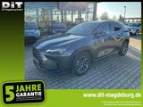 Lexus NX 350h Executive Line ACC+LED+Pano+SD+2xKlima - gebrauchte Lexus NX 350h aus dem Jahr 2024