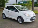 Ford Ka Ambiente *1.HD*Klima*15"Alu*Servo*Isofix*Tüv - Ford Ka/Ka+ in Gelsenkirchen