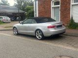 Audi A5 2.0 TDI Cabriolet S-Line Felgen - Audi A5: Felgen
