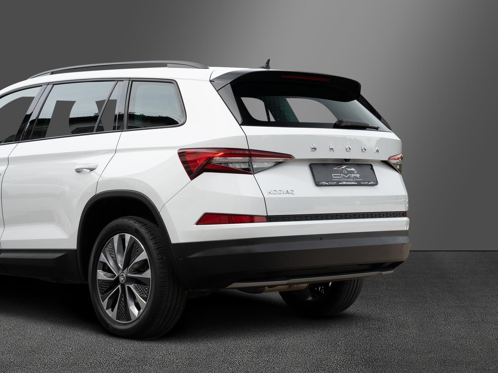 Skoda Kodiaq Ambition Tour AHK DAB+ SunSet Amundsen, миниатюра 8
