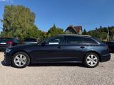 Audi A6 Avant 3.0 TDI quattro STANDH.|AHK|R-KAM|TEMP - Audi A6 mit Diesel-Antrieb