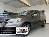 Honda CR-V Comfort 2WD AHK SHZ - Honda CR-V: Comfort