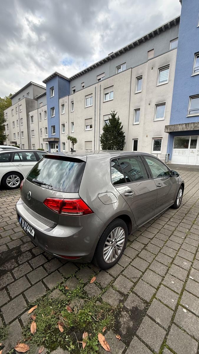 Volkswagen Golf 1.6 TDI DSG CUP KEYLESS GO