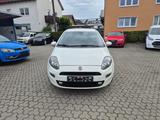 Fiat Punto 1.4 Euro 6 *Tempomat* - Fiat Punto Gebrauchtwagen