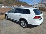 Volkswagen Golf 2.0 TDI 135kW SCR DSG 4MOTION Alltrack ... - Volkswagen Golf mit Diesel-Antrieb: 1.4