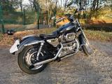 Harley-Davidson Sportster XL1200 Totenkopf Optik - HARLEY-DAVIDSON 2000 SPORTSTER 1200