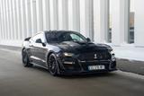 Ford Mustang 5.0 Ti-VCT V8 Black Shadow Edition A... - Ford Mustang Black Gebrauchtwagen
