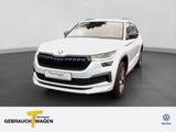 Skoda Kodiaq 2.0 TDI SPORTLINE LM19 ASSIST KAMERA - Skoda Kodiaq in Herne