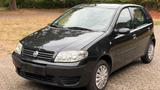 Fiat Punto 1.2 8V - 5-Türer TÜV 02 2027 Klima scheckh - Fiat Punto: Türer