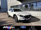 Mazda CX-30 2.5L e-SKYACTIV G 140ps 6AT FWD Prime-Line - Mazda CX-30 mit Hybrid-Antrieb: Prime Line