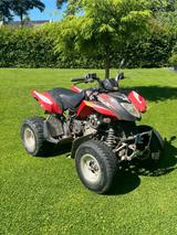 Arctic Cat DVX 250 - Offers matching your search criteria