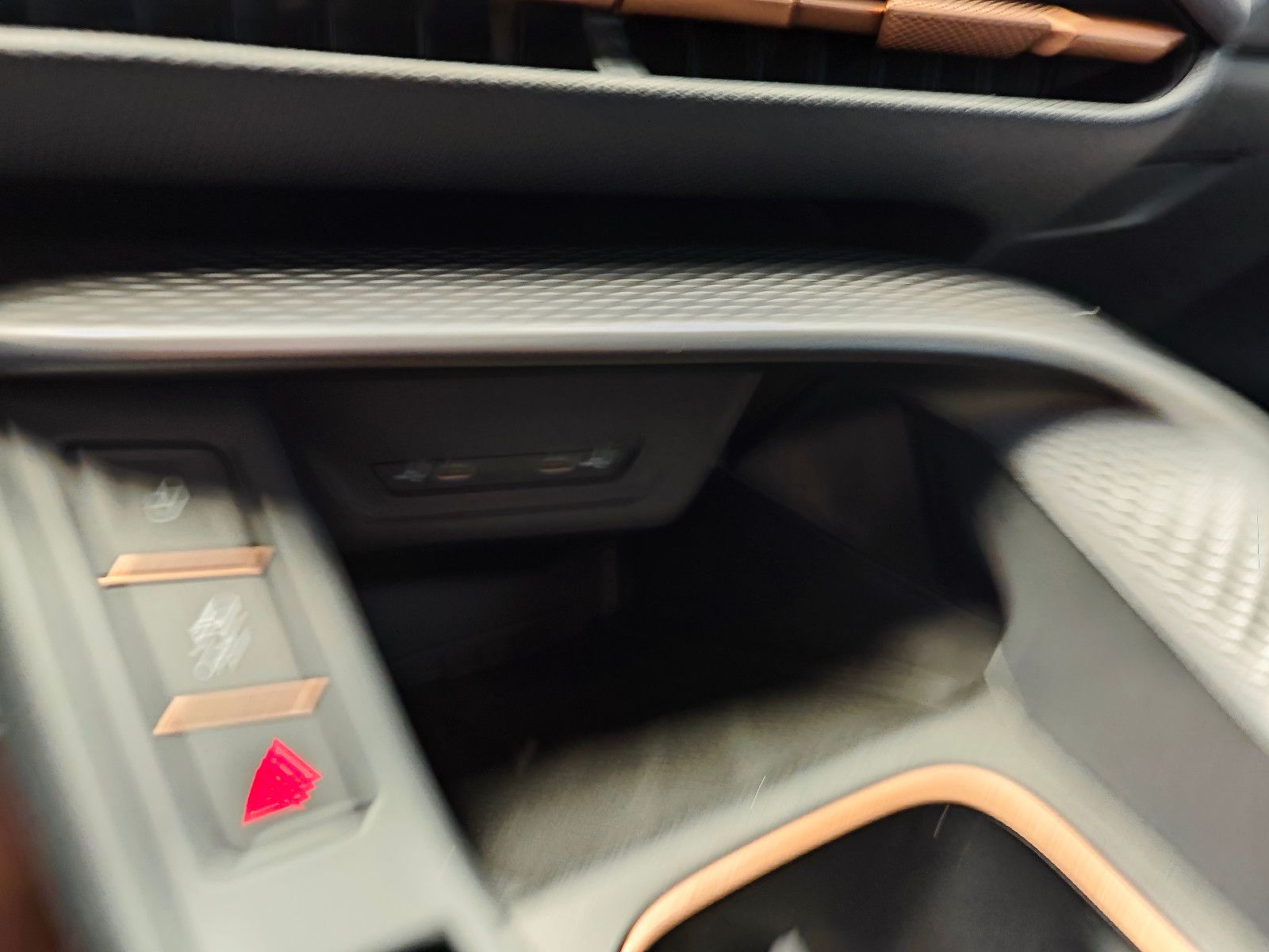 Cupra Terramar - Bild 12