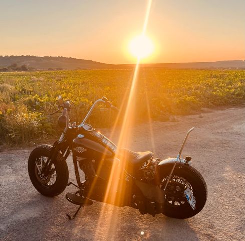 Harley-Davidson Springer Bobber Softail Umbau Custom 