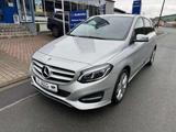 Mercedes-Benz B 250 B 250 Urban Style Edition (246.244) - : Van, 24