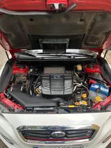 Subaru SUBARU LEVORG - Subaru Levorg Benziner Gebrauchtwagen