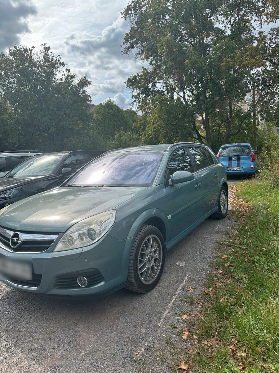 Opel Signum 2005 — rear view