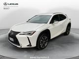 Lexus UX Hybrid Premium - weiße Lexus UX