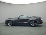 Ford Mustang GT Cabrio V8 California Special 449PS - Ford Mustang: Special