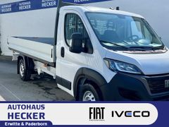 Professional Serie 9 Ducato L5H1 Pritsche 140