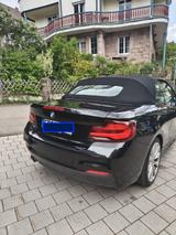 BMW 230i Steptronic Cabrio M Sport M Sport - BMW 230 Cabrio Gebrauchtwagen