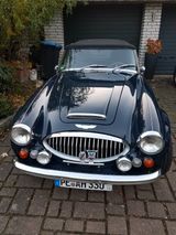 Austin Healey HMC MK IV  TÜV und H Gutachten Neu! - Austin Healey: Hmc