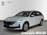 Skoda Octavia Combi Selection 2,0 TDI 85 kW 6-Gang-Sch - Skoda Octavia Neuwagen in Leipzig