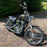 Harley-Davidson Sportster XL1200C - HARLEY-DAVIDSON 2004 1200 SPORTSTER