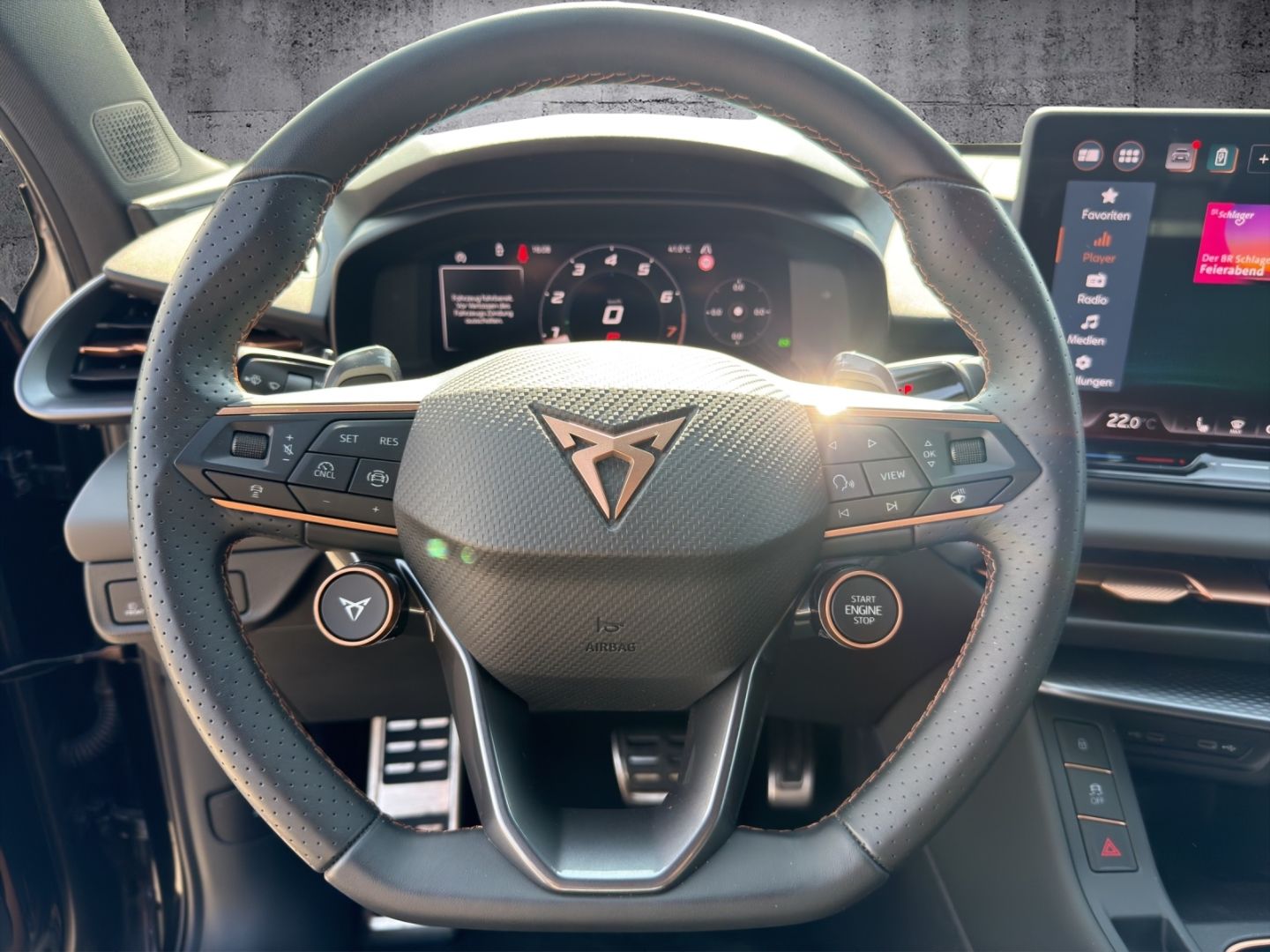 Cupra Terramar - Bild 11