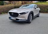 Mazda CX-30 2.0 e-SKYACTIV-G M-Hybrid Selection Se... - gebrauchte Mazda CX-30 aus dem Jahr 2024