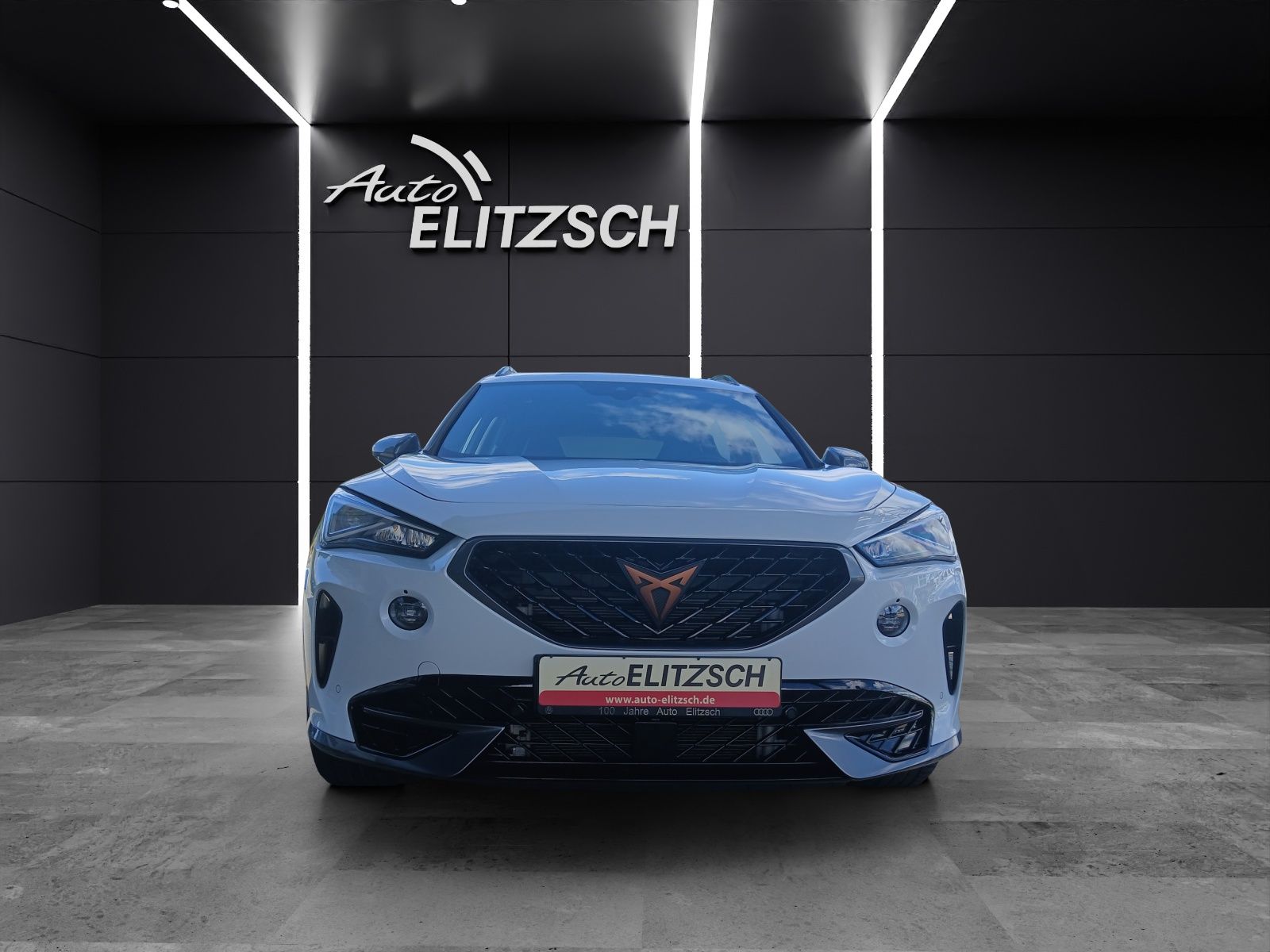 Fahrzeugabbildung CUPRA Formentor VZ DSG 4Drive LED AHK Navi Pano ACC RF
